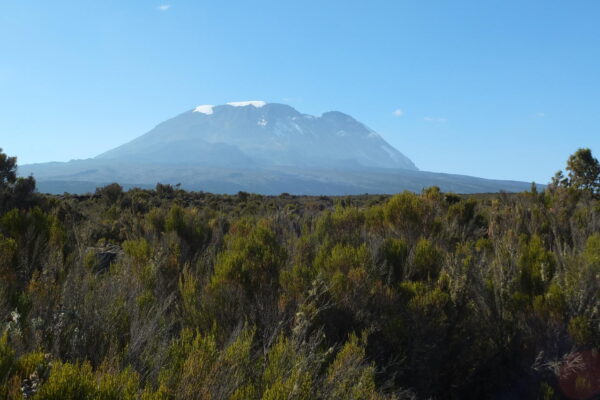 lopend over kleine paadjes met ruige begroting aan de zijkant onderweg naar het Shira Plateau kijken we uit op de top van de Kilimanjaro met sneeuw