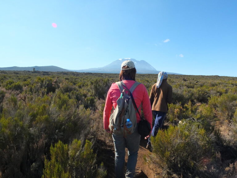 vrouw met gids lopen over de paadjes van de Kilimanjaro naar het Shira plateau met voor hun de wit besneeuwde top