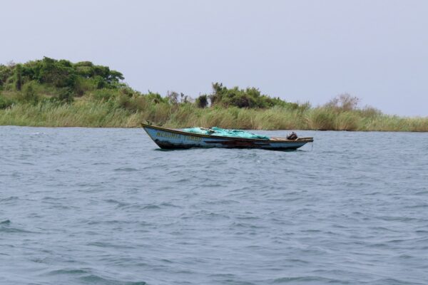 uitzicht op het meer Tanganyika met een vissersboot in het water en daarachter een groene strook met hoog gras