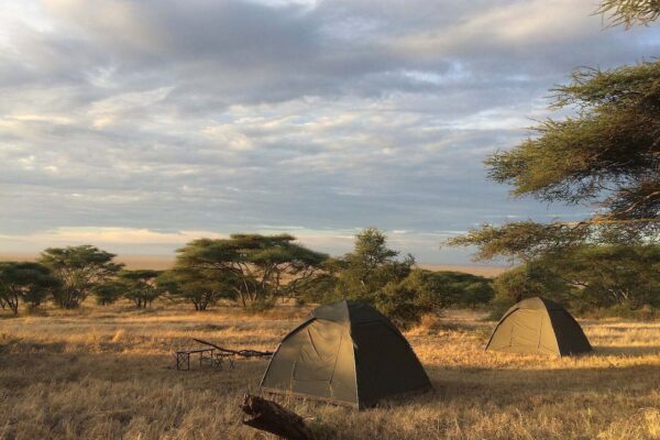 Rondreis Tanzania. Special Campsite. Twee koepeltentjes op een special campsite in de Serengeti met uitzicht over het goud gele gras en acacia bomen onder een bewolkte lucht.