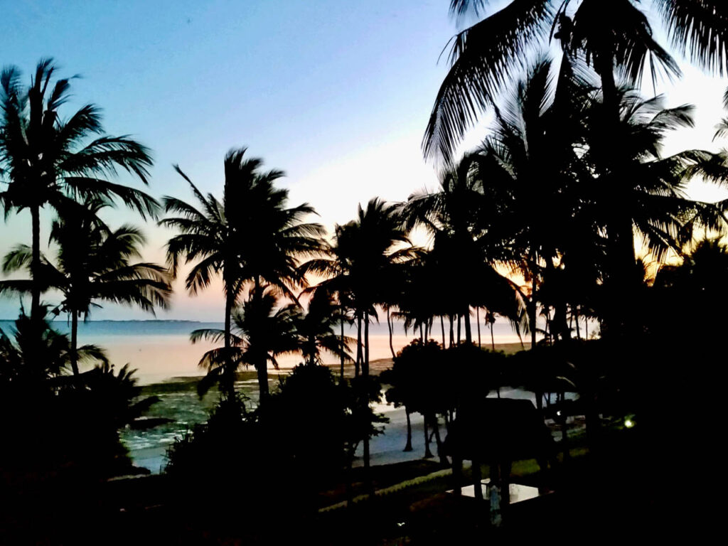 licht schemerig palmbomen in de wind met daarachter het strand en de indische oceaan bij Mafia Tanzania