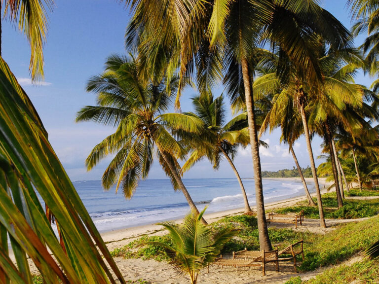 uitzicht over een strand met palmbomen en de indische oceaan bij Pangani