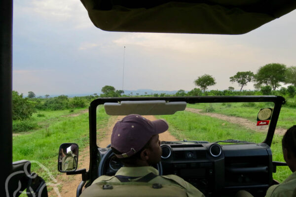 vanuit een open safari auto kijkend over de chauffeur naar het groen landschap van MIkumi