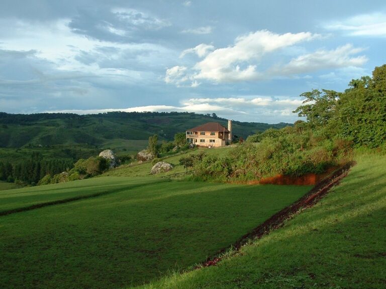 uitzicht vanaf een heuvel op Mufindi highland lodge een twee gebouw met verdiepingen midden in een heuvelachtig zeer groen landschap met grasland en bos