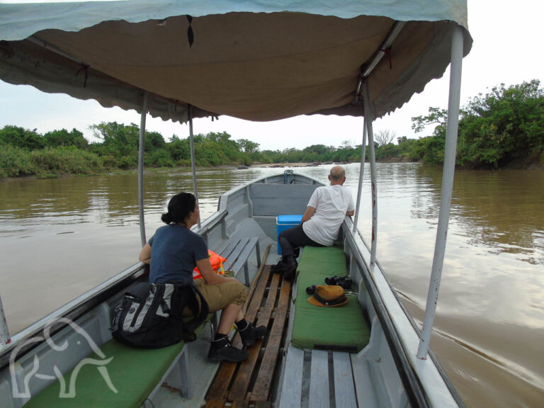 vanuit een boot met afdak met een man en vrouw aan de zijkant varen we over de Wami rivier bij Saadani met aan de oevers dicht struikgewas