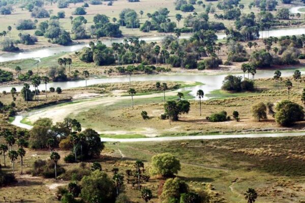 vanaf een heuvel een landschap met palmbomen, bomen en grasland met daar doorheen slingers een rivier in Ugalla National Park