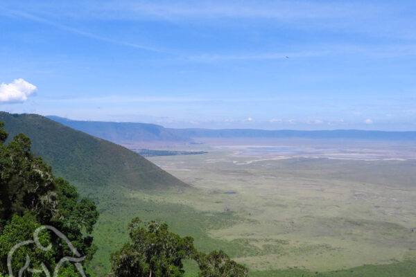 vanaf een hoog uitzichtpunt op de rim kijk je in de ngororngoro krater