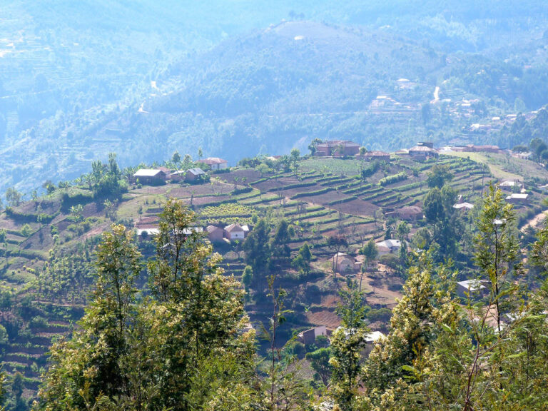 vanaf een berg een overzicht van een bergdorp in Usambara mountains met huisjes en keurig rechte akkers
