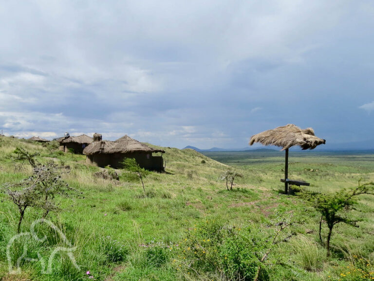 masai lodge met huisjes als boma met rieten dak op de helling van west Kilimanjaro