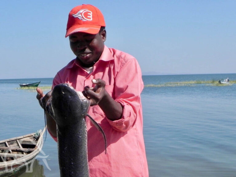 man die een vis omhoog houdt met zijn vingers in de kieuwen bij van Lake Victoria