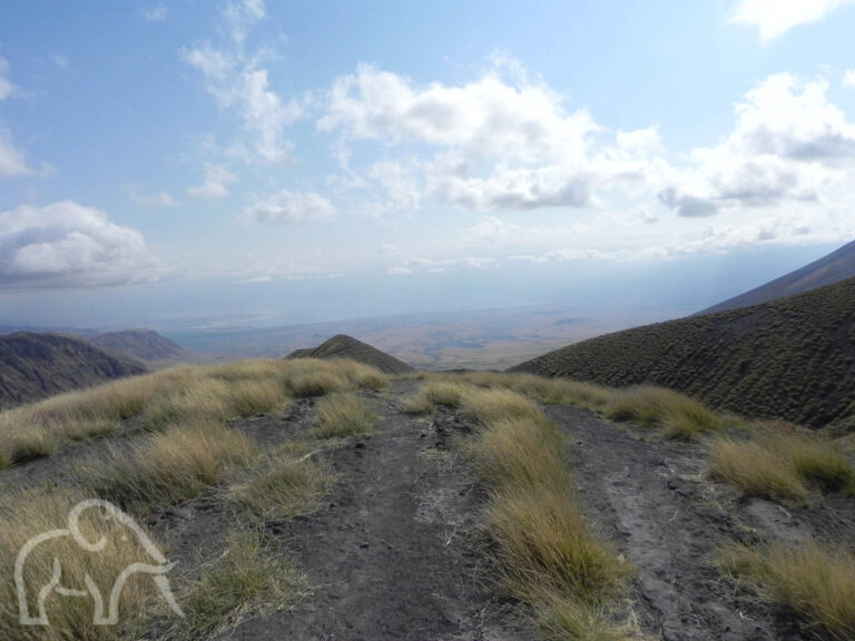 vanaf een heuvel een uitzicht over het landschap van Ngorongoro highlands met zwarte bergkammen erdoor grasland
