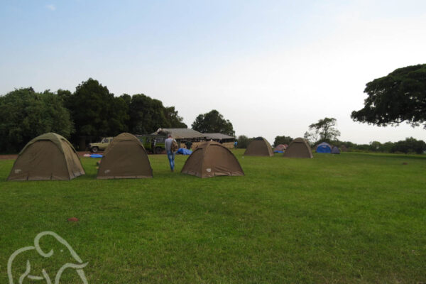 uitzicht op de simba campsite bij ngorongoro met drie koepeltentjes op de voorgrond en verderop nog een aantal