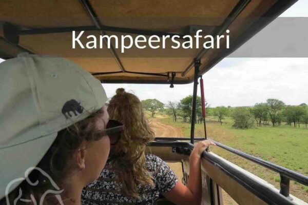 15 daagse kampeer en lodge rondreis door Tanzania en daarna naar Zanzibar. Met vrienden. Tijdens deze rondreis staan 2 mensen in de safariauto wilde dieren te spotten