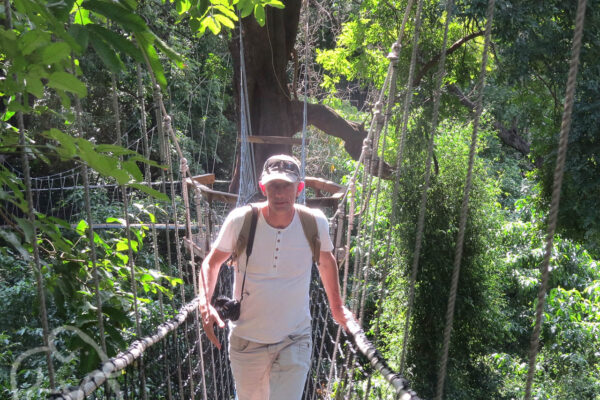 man met petje lopend over de touwbrug vanTreetop walkway