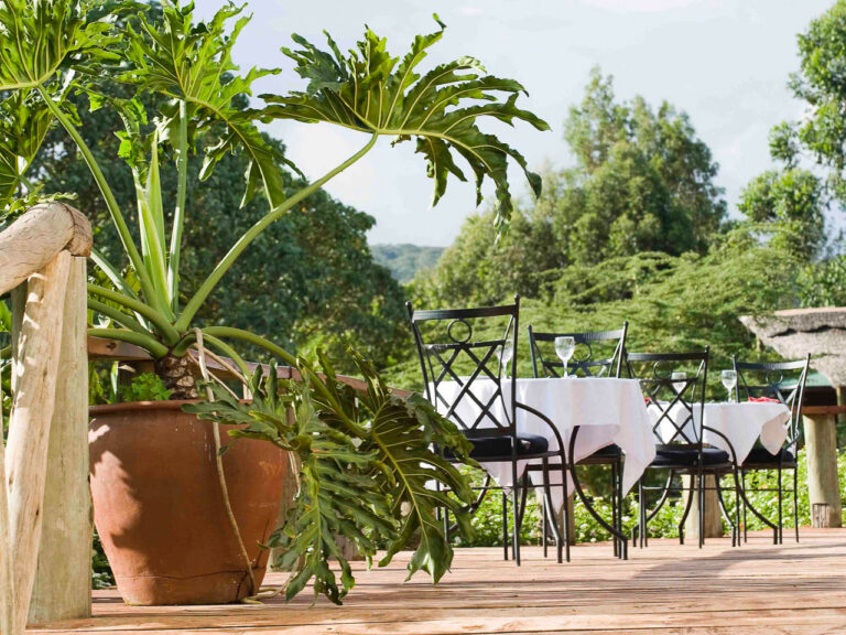 houten terras van een lodge met tafels en stoelen in een hele groene omgeving tanzania