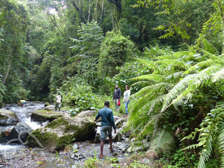 drie mensen die op rotsen staan aan de oevers van een rivier kijkend naar mensen in de rivier vlakbij arusha tanzania