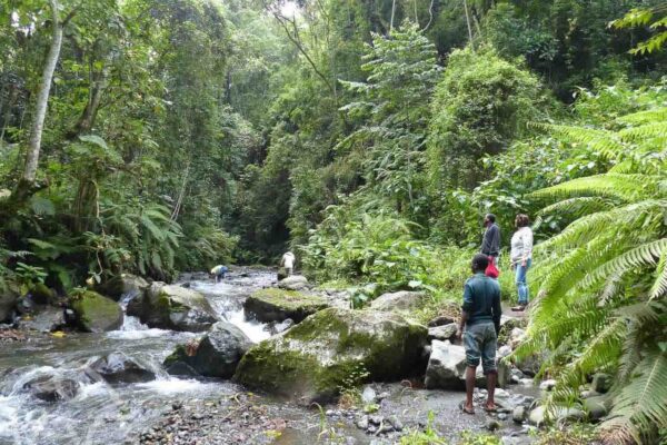 Drie mensen die op rotsen staan aan de oevers van een rivier kijkend naar mensen in de rivier vlakbij arusha tanzania