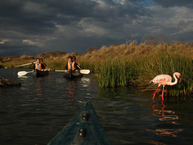Activiteiten Tanzania kanosafari. Twee kano's met vier mensen op Lake Momela Arusha National Park. Ze zijn vlakbij een flamingo die in het water staat.