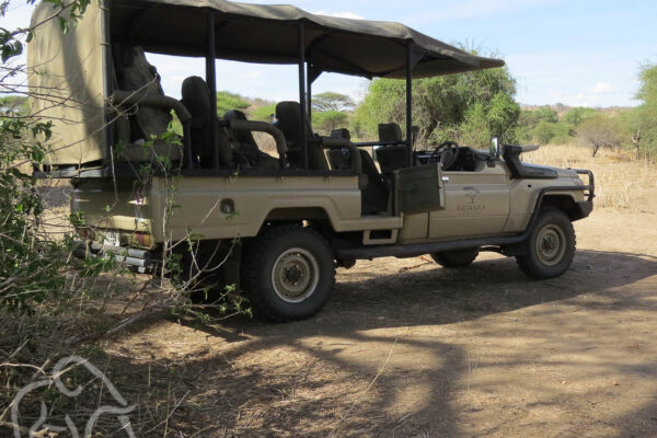 open safari auto met canvas dak en plek voor 6 gasten die vaak worden gebruikt in het zuiden van tanzania