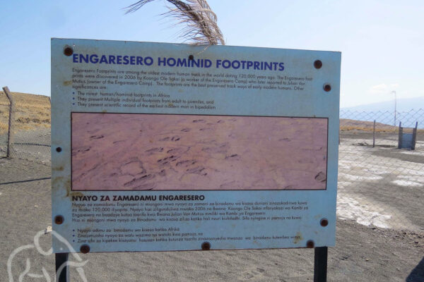 informatie bord over de Engaresero homonid footprints de oudste voetafdruk vlakbij lake natron tanzania