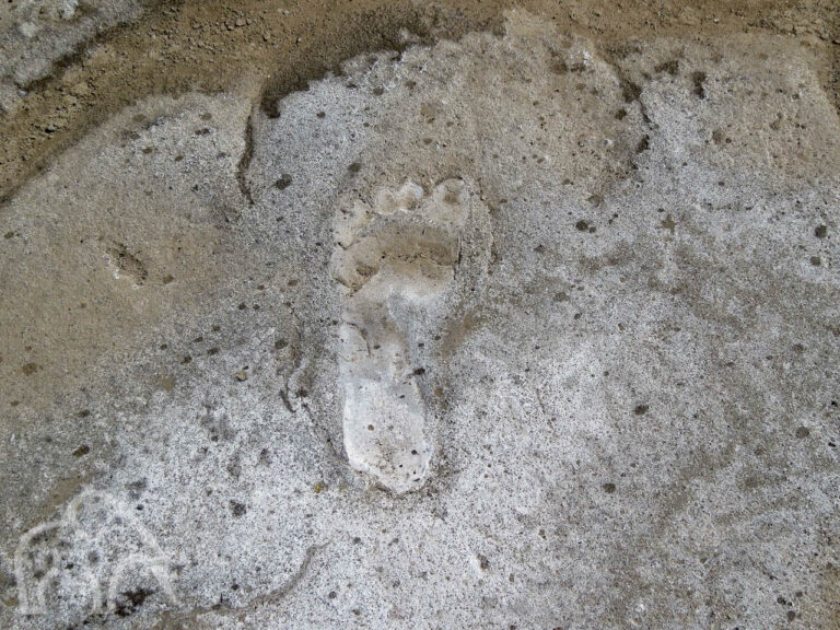 hele duidelijke voetafdrukken een rots van Homonid Footprints een van de oudst gevonden voetafdrukken