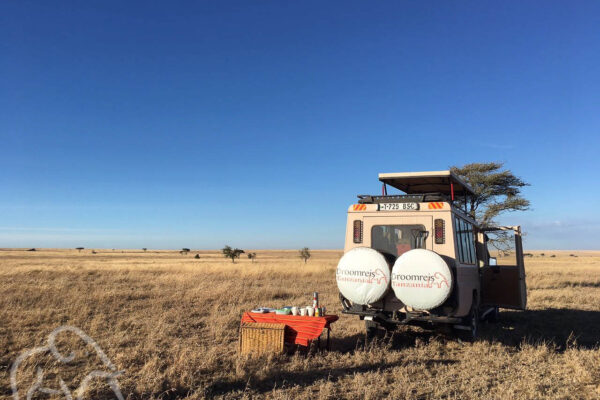 grote vlakke vlakt met hier en daar een boom met op de voorgrond een gedekte ontbijttafel en de safariauto ernaast klaar voor een ontbijt tijdens de gamedrive oude serengeti