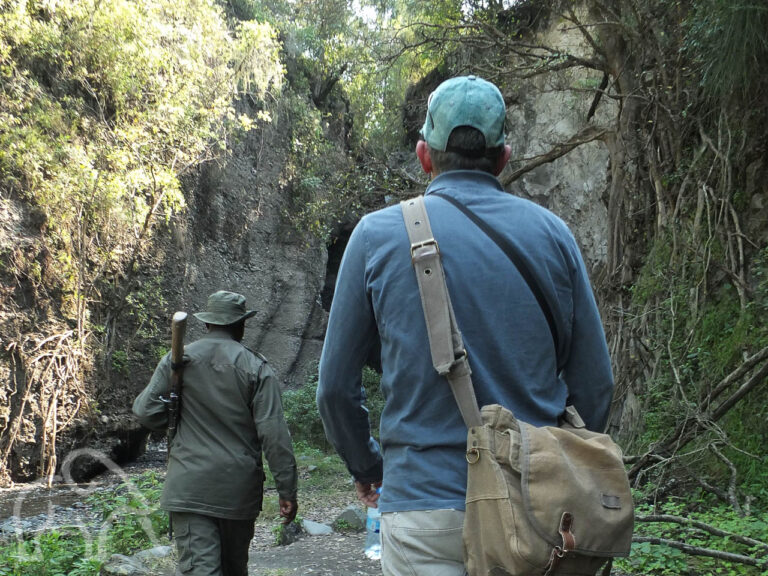 twee mannen waarvan een ranger met wapen lopend door een groene omgeving van arusha national park tanzania