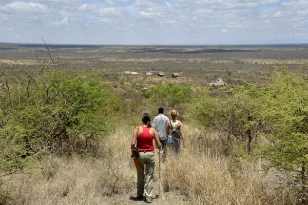 drie mensen die wandelen onder begeleiding door een gebied met struiken en hoog gras vlakbij lake chala in de buurt van de kilimanjaro tanzania