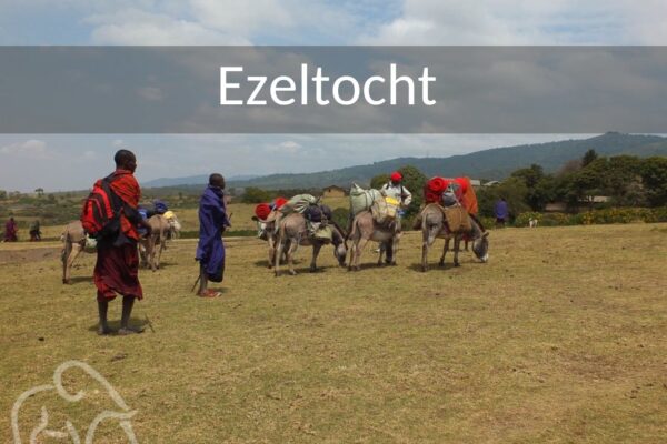 Tanzanianen met ezels die de bagage vervoeren bij de meerdaagse wandeltocht naar lake natron tanzania