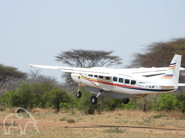 klein wit vliegtuigje dat net is opgestegen nog boven de airstrip luxe fly-in safari tanzania