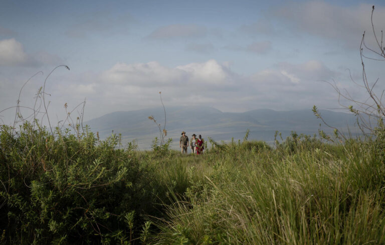 Wandelreizen Tanzania. Drie mensen met een Masai gids wandelen door het Ngorongoro gebied met de krater rim op de achtergrond