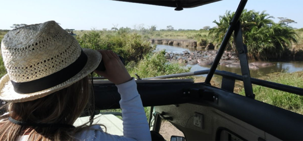 Vrouw met verrekijker kijkend op de Mara rivier met allemaal hippo's vanuit de safari auto