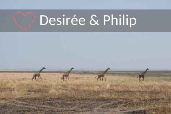 Huwelijksreis Tanzania. Vier giraffen die achter elkaar aan over de vlaktes van de Serengeti lopen