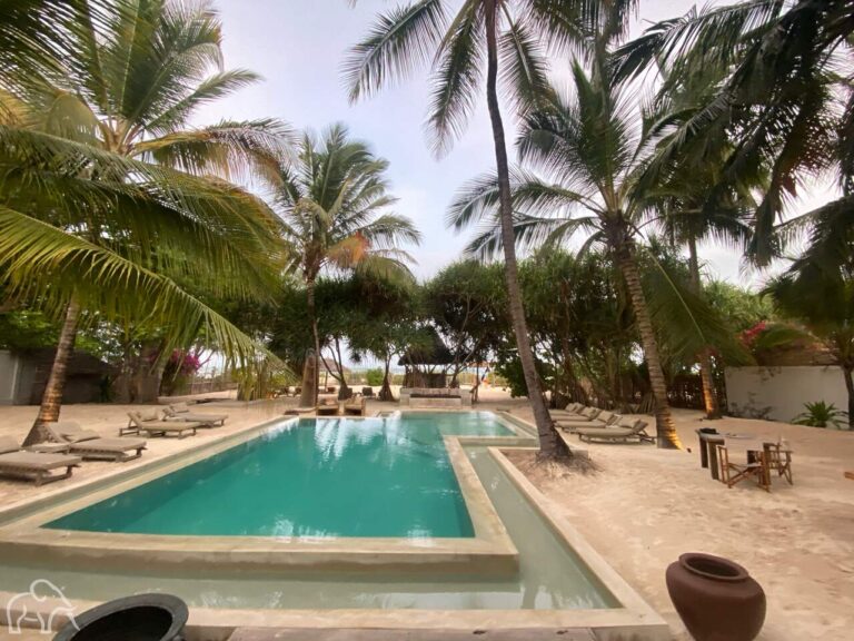uitzicht op een zwembad omringt met palmen bij een accommodatie op zanzibar