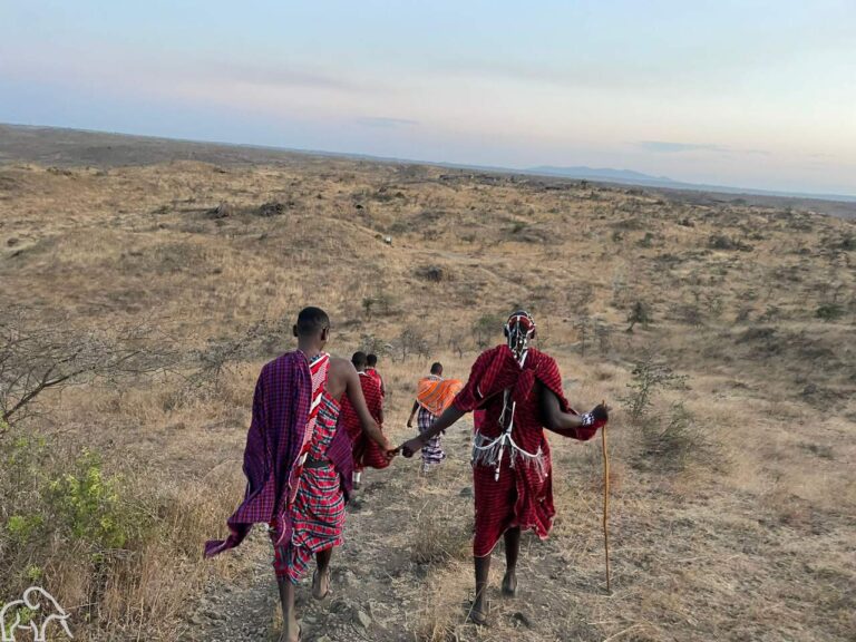 Rondreis door Tanzania. Er lopen 4 Masai mensen in gekleurde gewaden over de vlaktes. Twee hebben elkaars hand vast