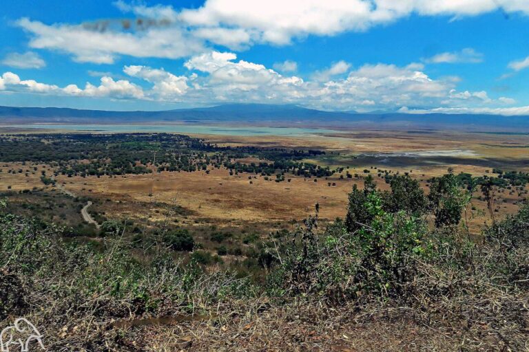 Uitzicht over de Ngorongoro krater in Tanzania. Review safari Tanzania