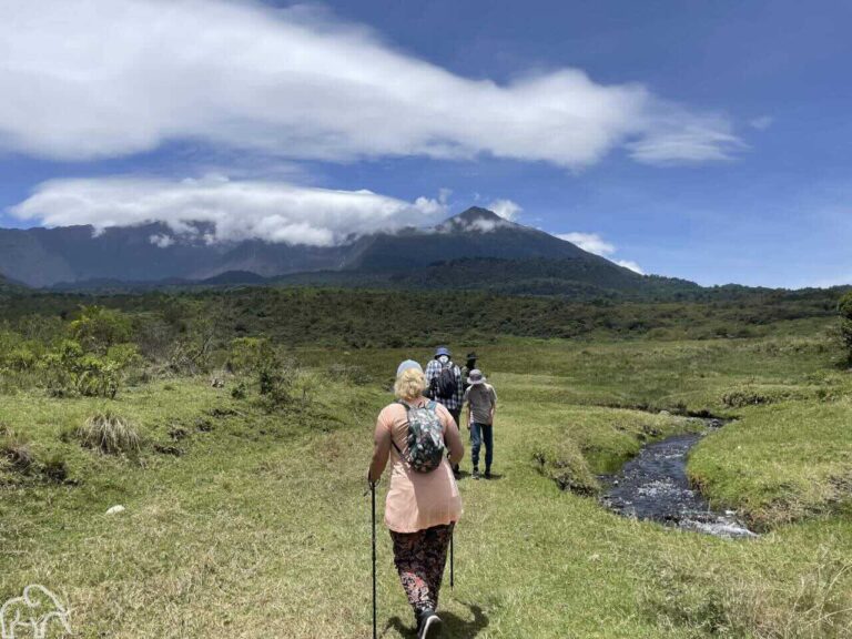 Wandelsafari Arusha National Park Tanzania rondreis. Mensen lopen met hun gids tussen de dieren.