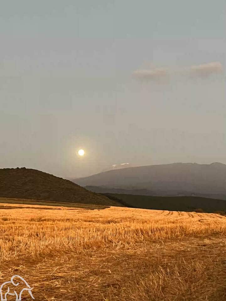 Witte top van de Kilimanjaro in de maneschijn. Uitzicht met een sundowner 