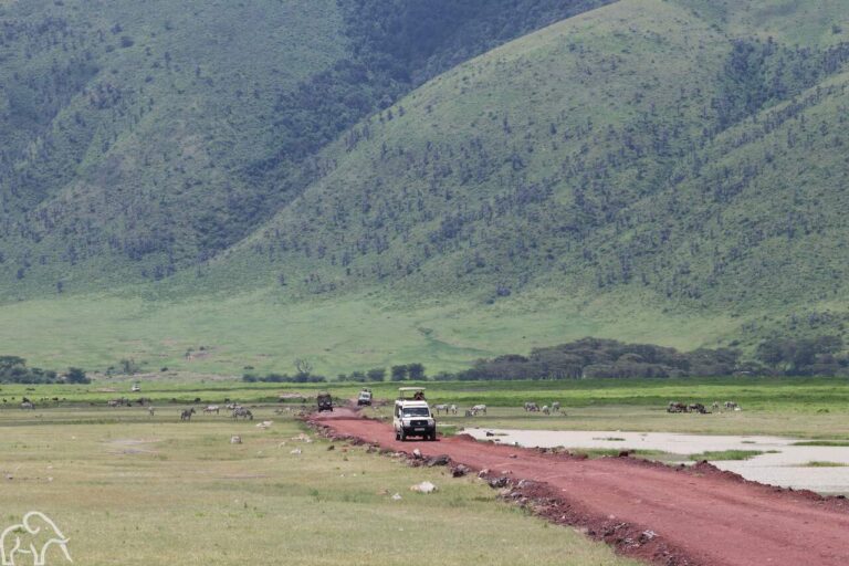 In de Ngorongoro krater reiservaring safari Tanzania