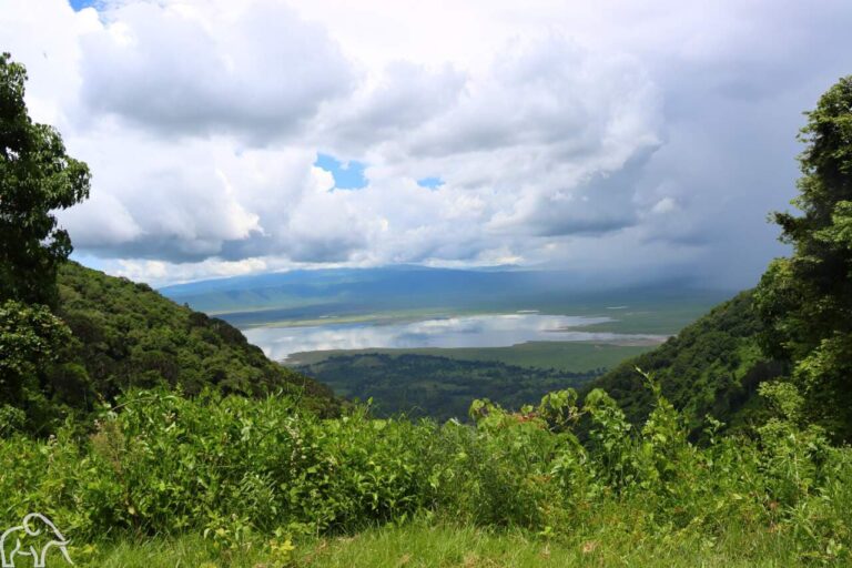 Vanaf de kraterrand van kijk je de Ngorongoro krater in met het Magadi meer