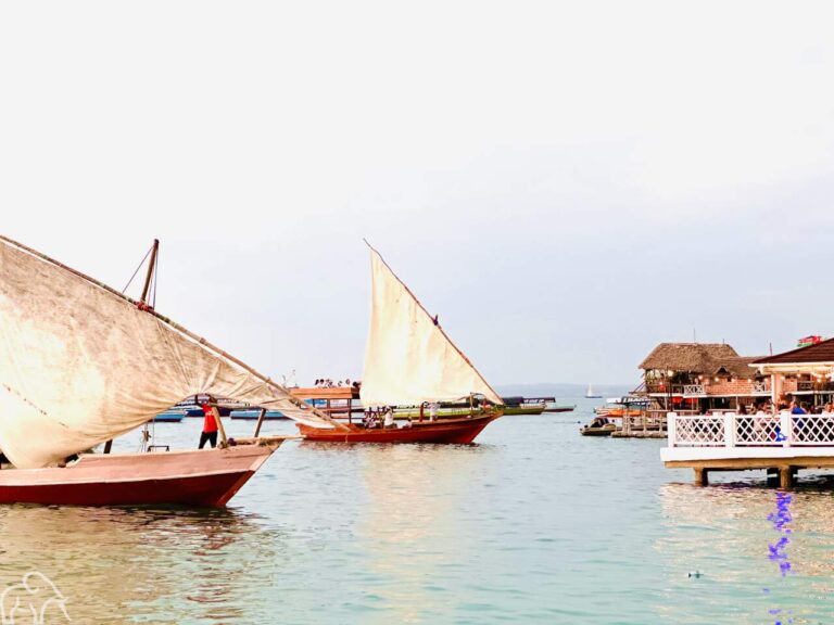 dhow boten in de haven van Zanzibar tanzania
