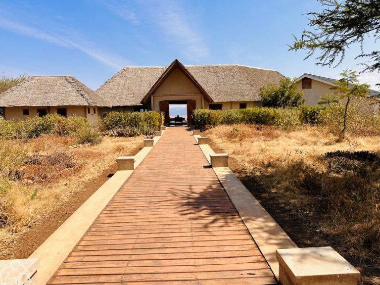 entree van manyara secrets lake manyara tanzania