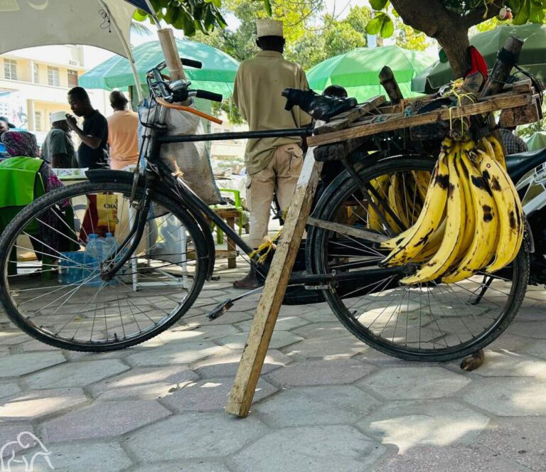 fiets met een stok als standaard en een tros bananen aan de pakjes drager