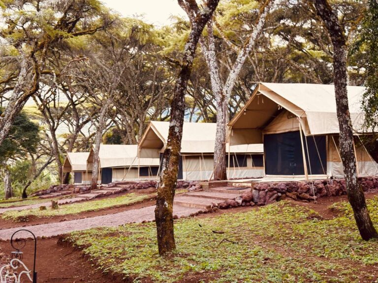 tented camp in de ngorongoro conservation area