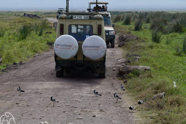 safari auto in de Ngorongoro krater Tanzania