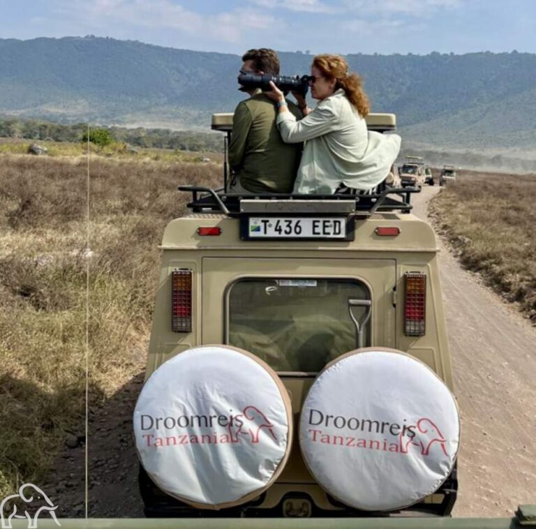 Vrouw met grote cameradia gaat voor de perfecte shot  in  een safariauto