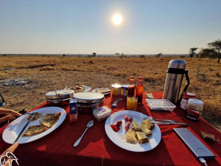 ontbijten midden op de Serengeti