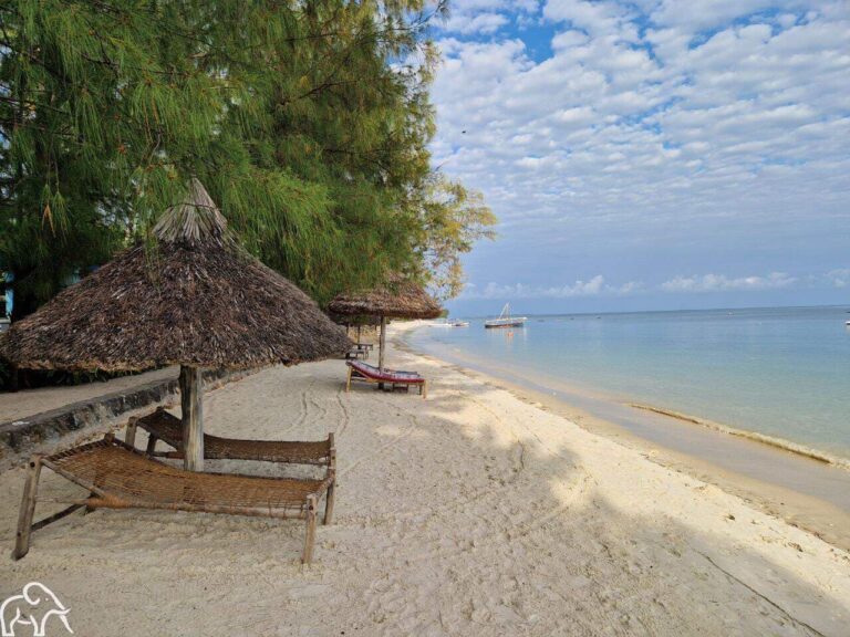 strand met bedjes op het rustige Mafia eiland Tanzania