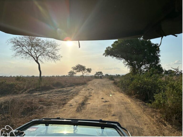 uitzicht vanuit de open safari auto