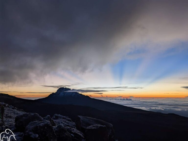 De Kilimanjaro met het eerste daglicht van de zonsopkomst